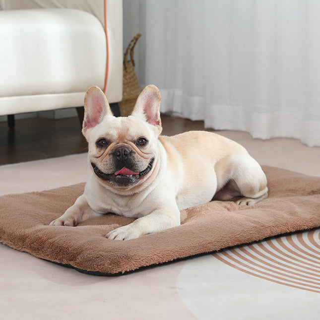 Warmth Mat and Blanket