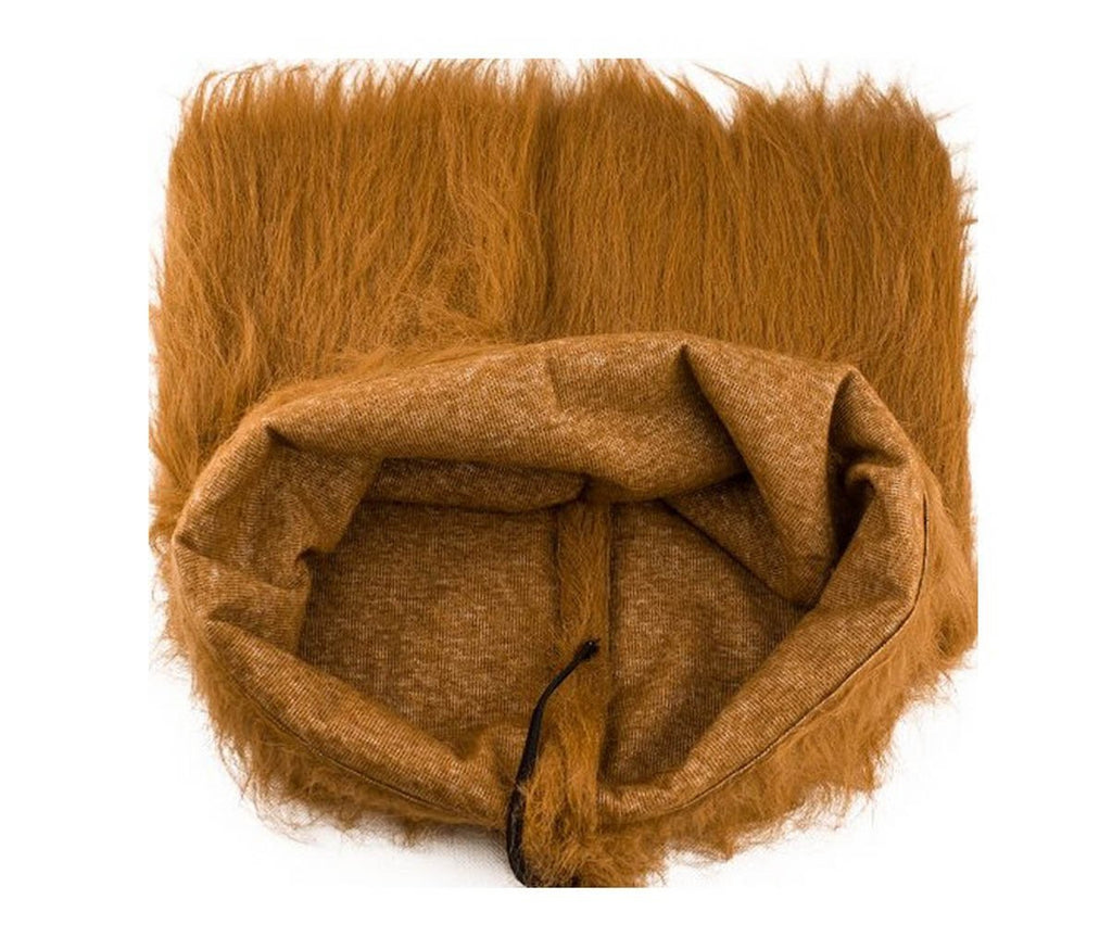 dog lion wig hat
