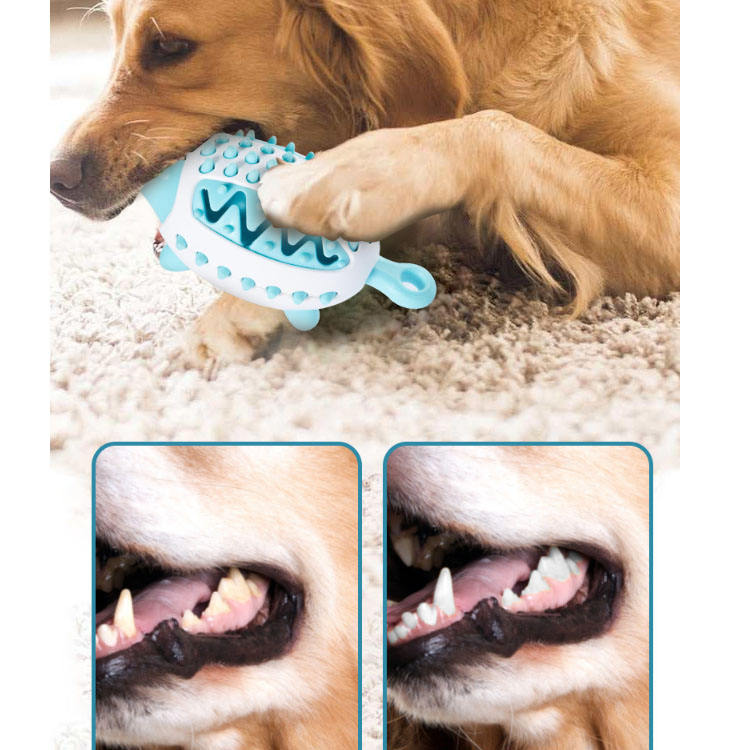 Dog Teeth Training Ball