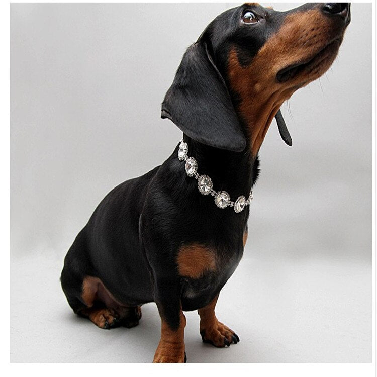 Pearl Necklace Jewelry Pet Collar