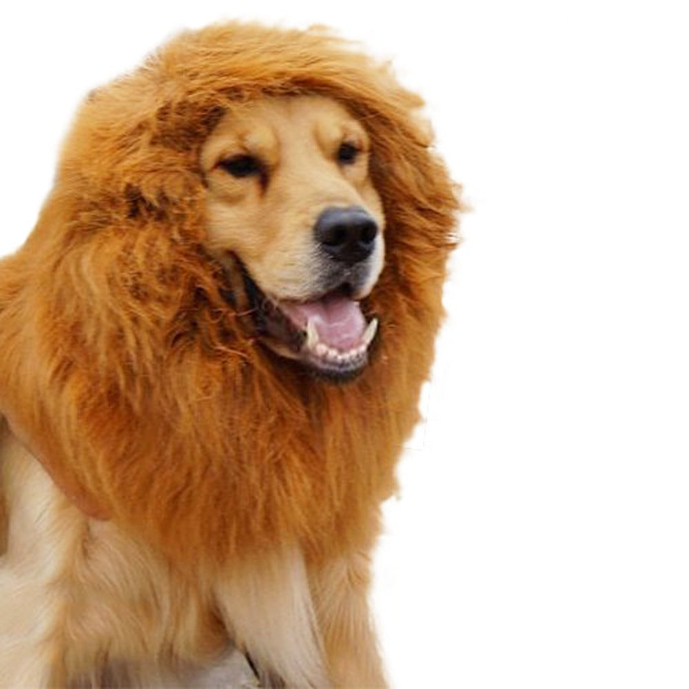 dog lion wig hat