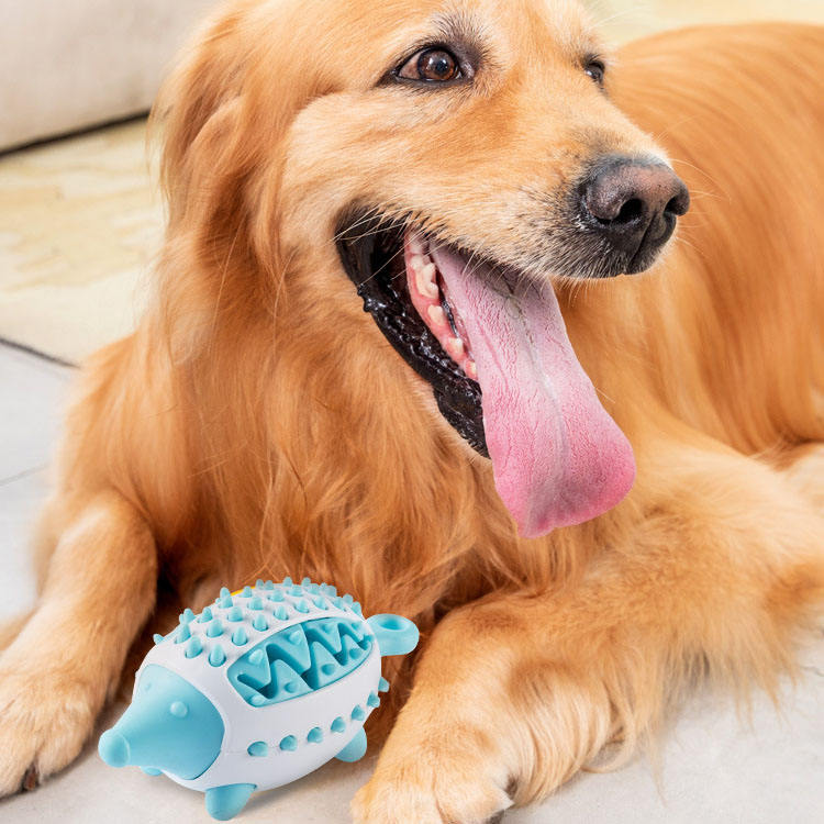 Dog Teeth Training Ball