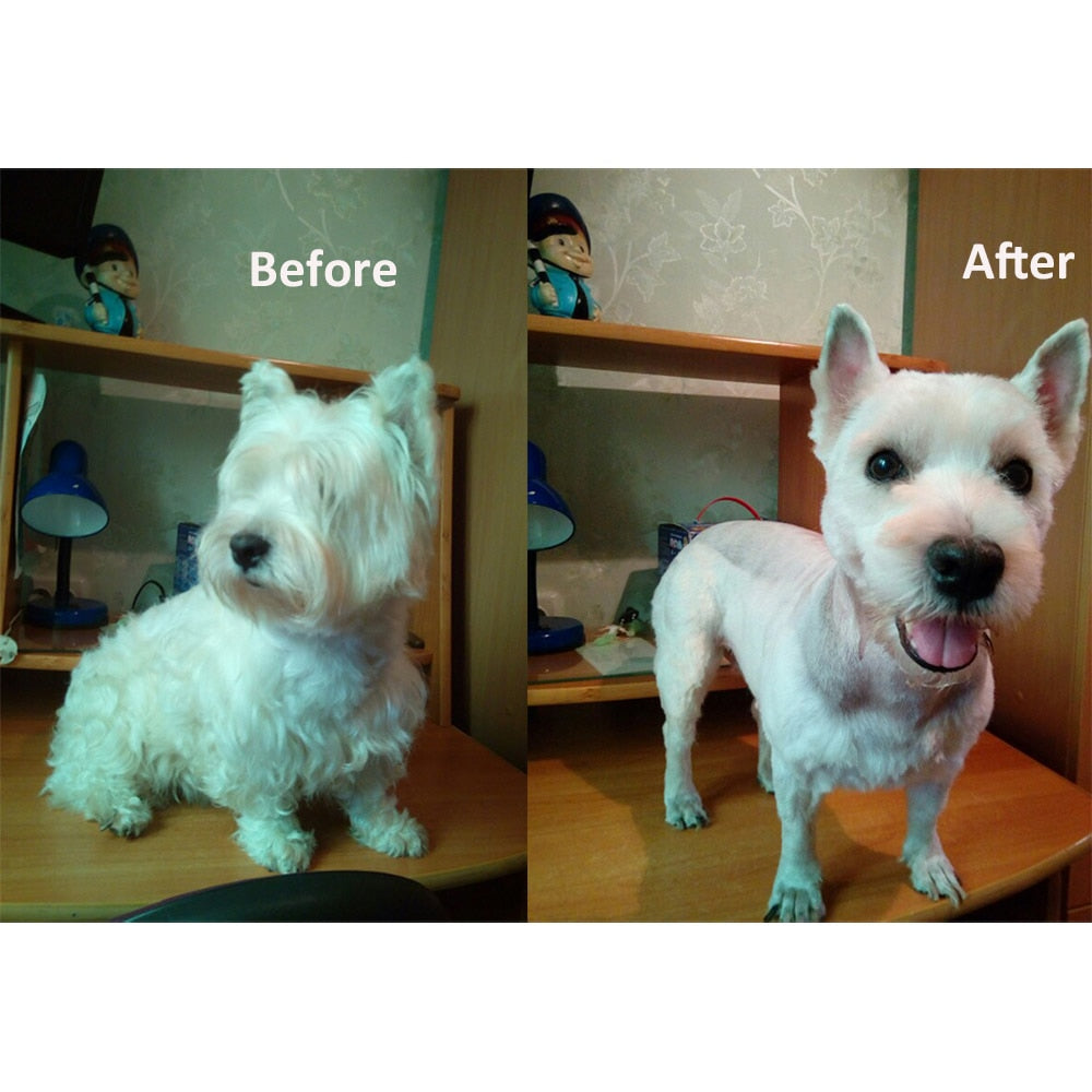 Dog Hair Trimmer
