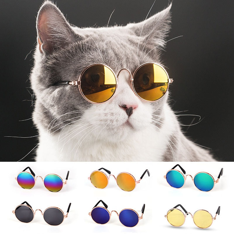 1pc  Pet Glasses Small Glasses