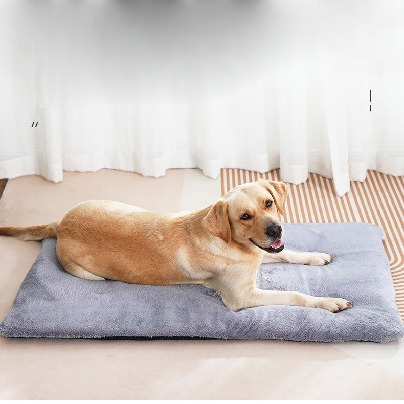 Warmth Mat and Blanket