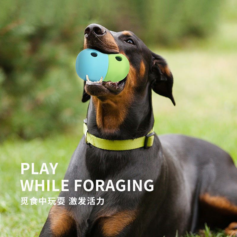 Dog Toy Food Leaker Molar Educational Dog Ball
