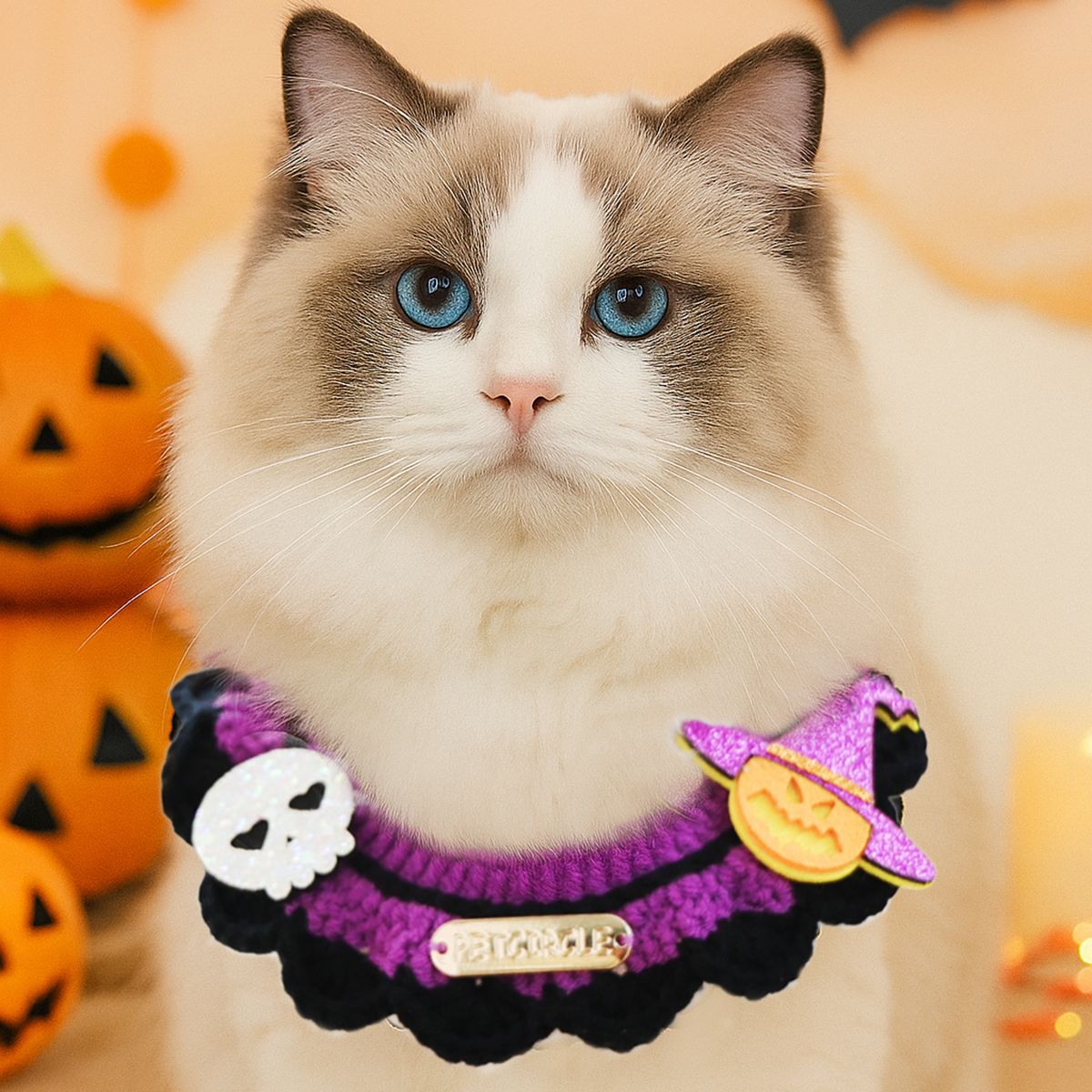 Pet Cat Dog Bandana with Halloween
