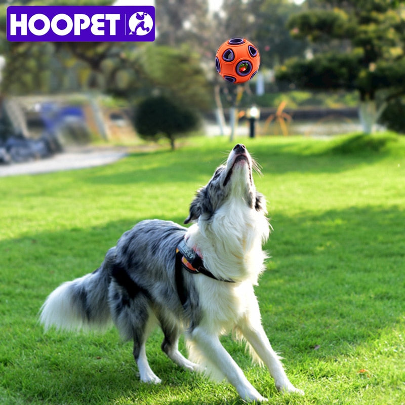 Ball Of Food Rubber Balls Pets Supplies