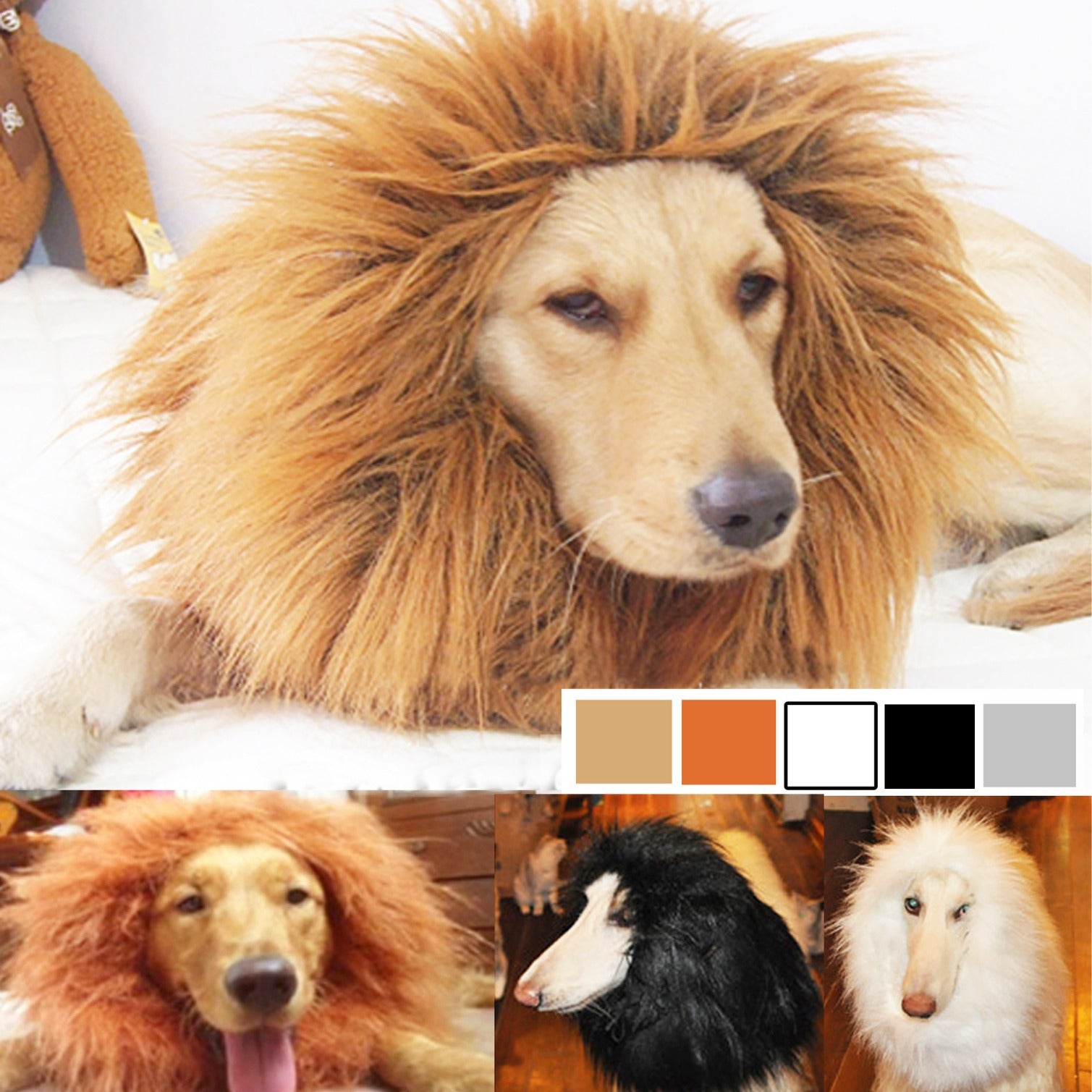dog lion wig hat