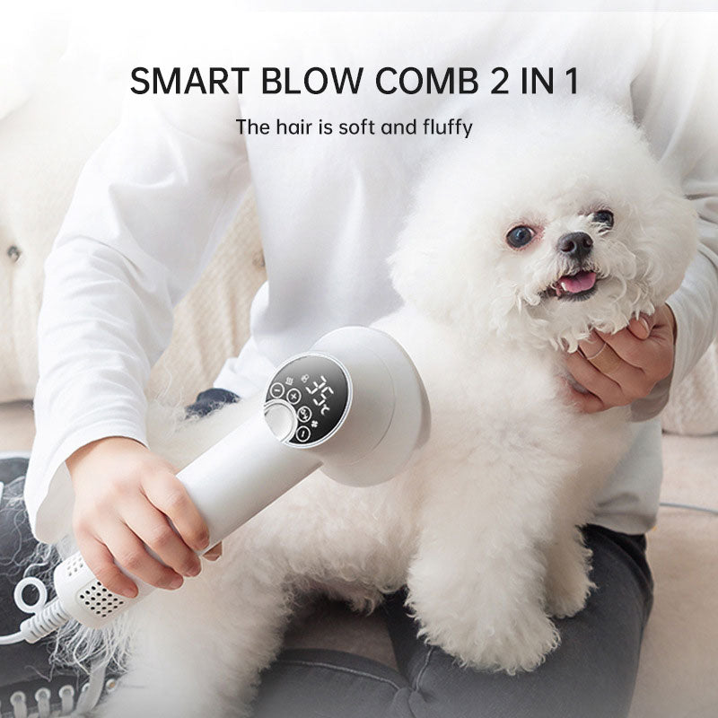 Smart Pet Hair Dryer Dog Golden Retriever
