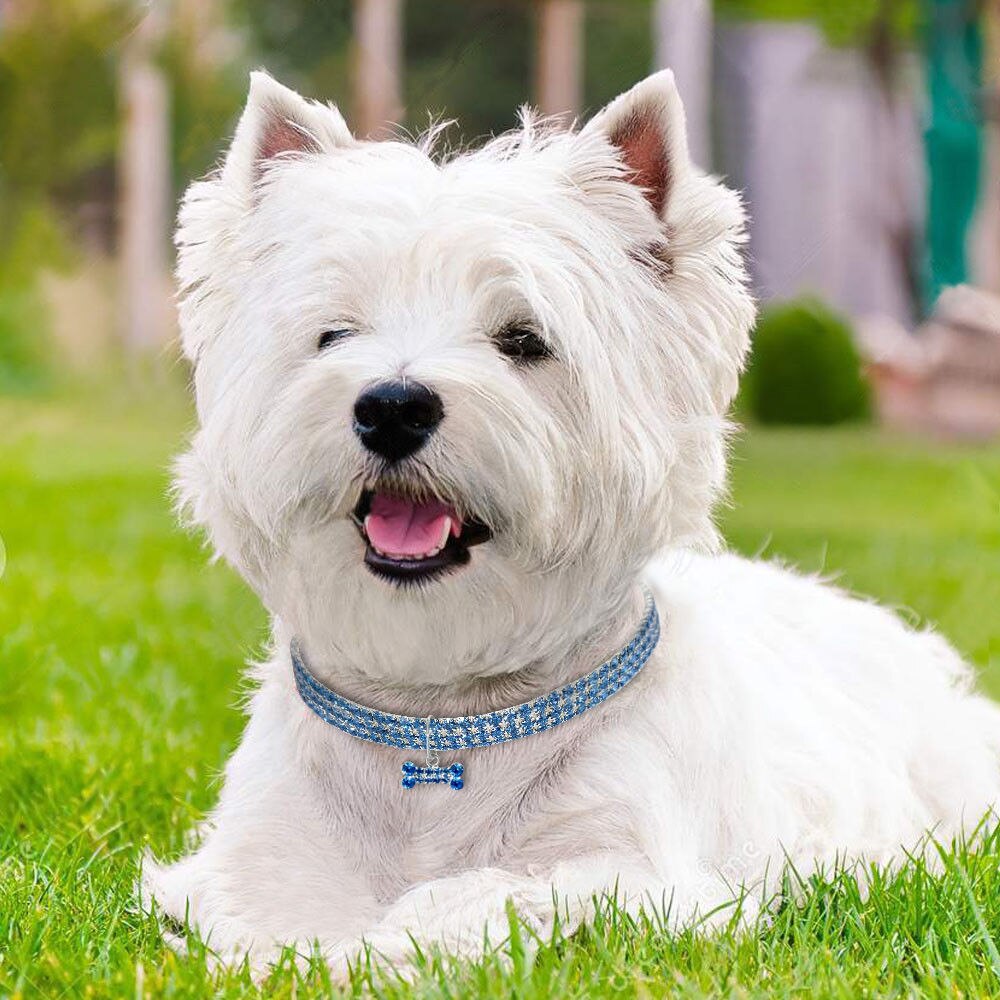Bone Pendant Crystal Diamond Cat Collars For Small Medium Dogs