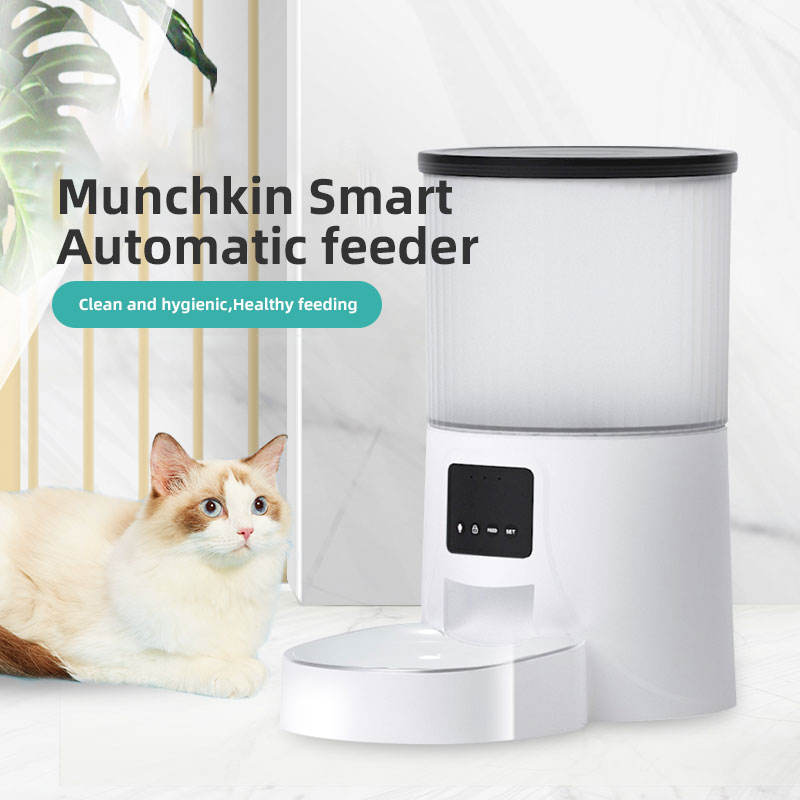 Wifi Smart APP Pet Feeder