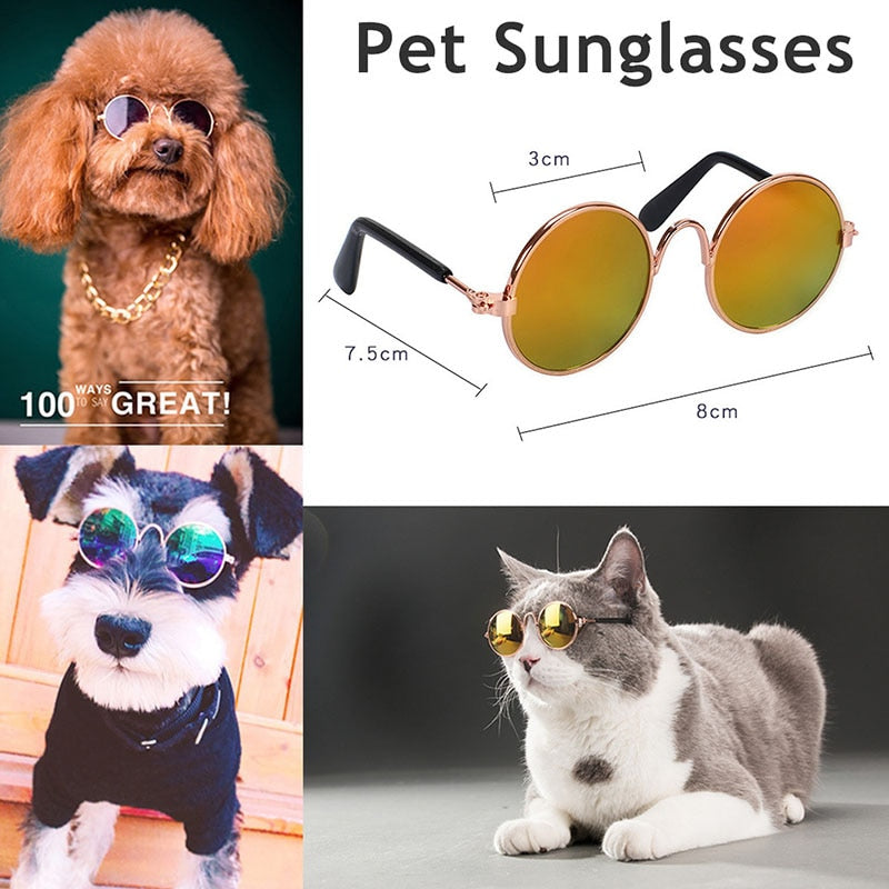 1pc  Pet Glasses Small Glasses