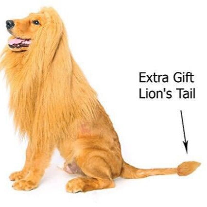 dog lion wig hat