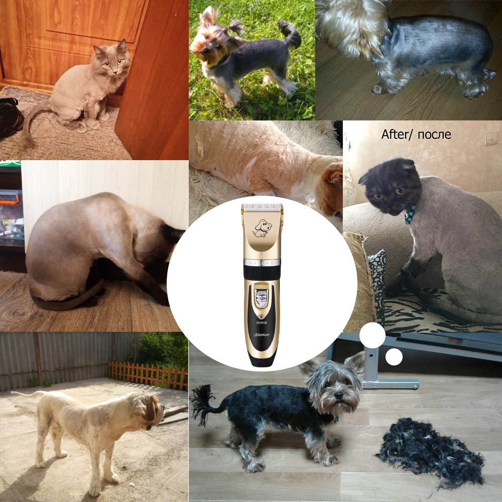 Dog Hair Trimmer