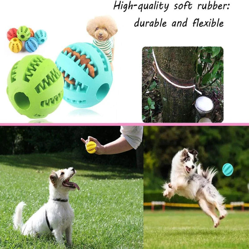 Interactive Rubber Balls Puppy Chewing Toys Pet Tooth Cleaning Ball
