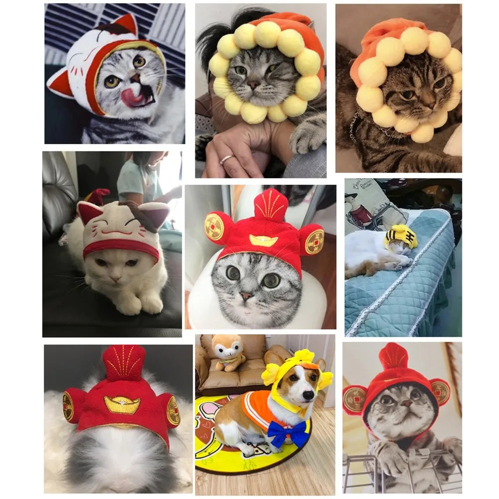 Decorative Party Pet Cap