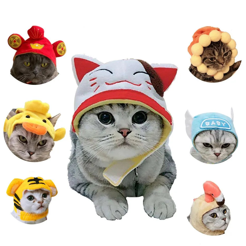 Decorative Party Pet Cap
