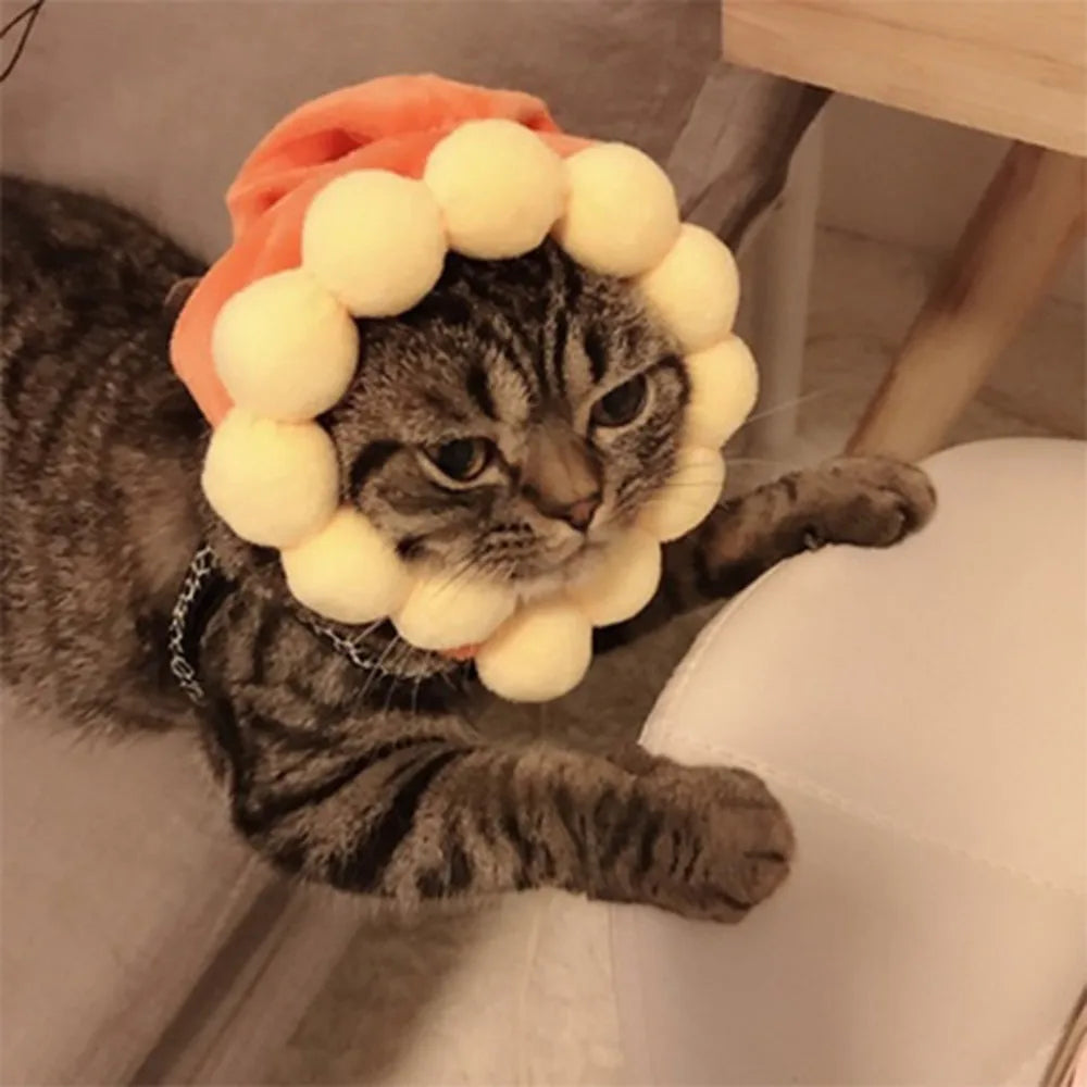 Decorative Party Pet Cap