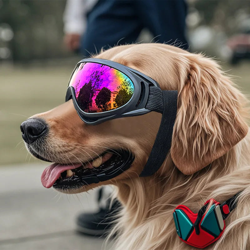 Pet Adjustable Dog Goggles Sunglasses