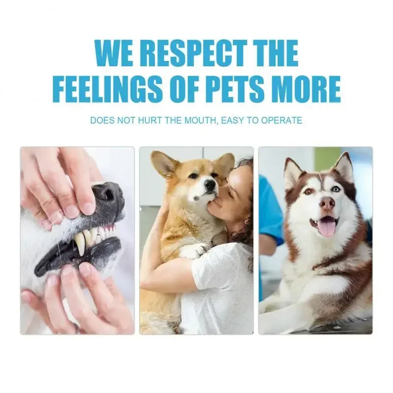 Pet Toothpaste for Dogs & Cats, Edible Oral Care, Fresh Breath,