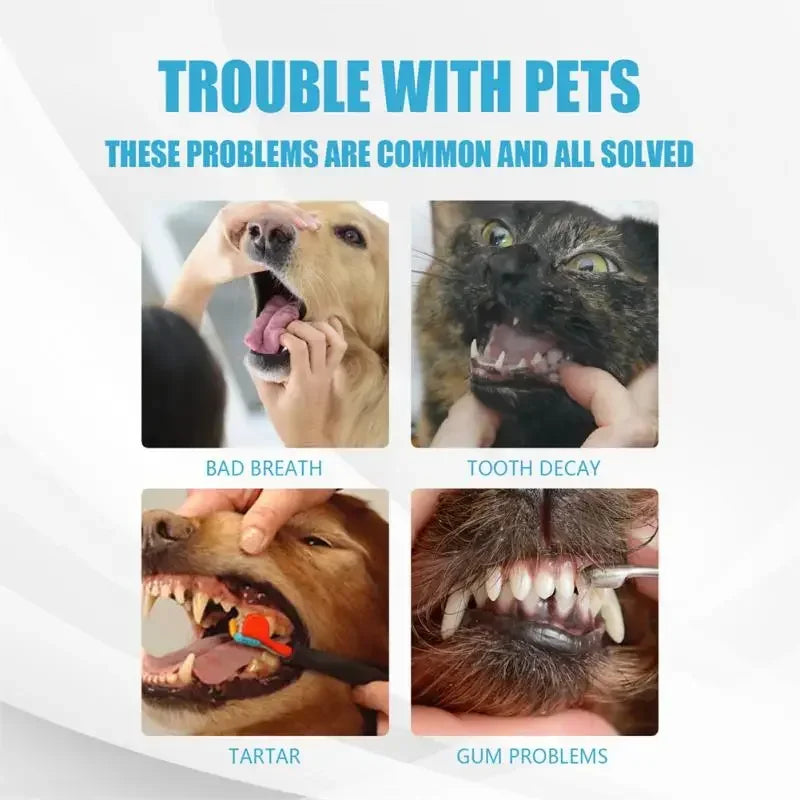 Pet Toothpaste for Dogs & Cats, Edible Oral Care, Fresh Breath,