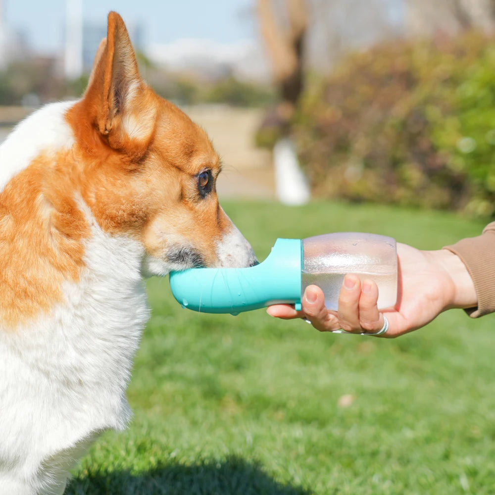 Dogs Cats Hiking Portable Cat Feeder Golden Retriever Supplies.