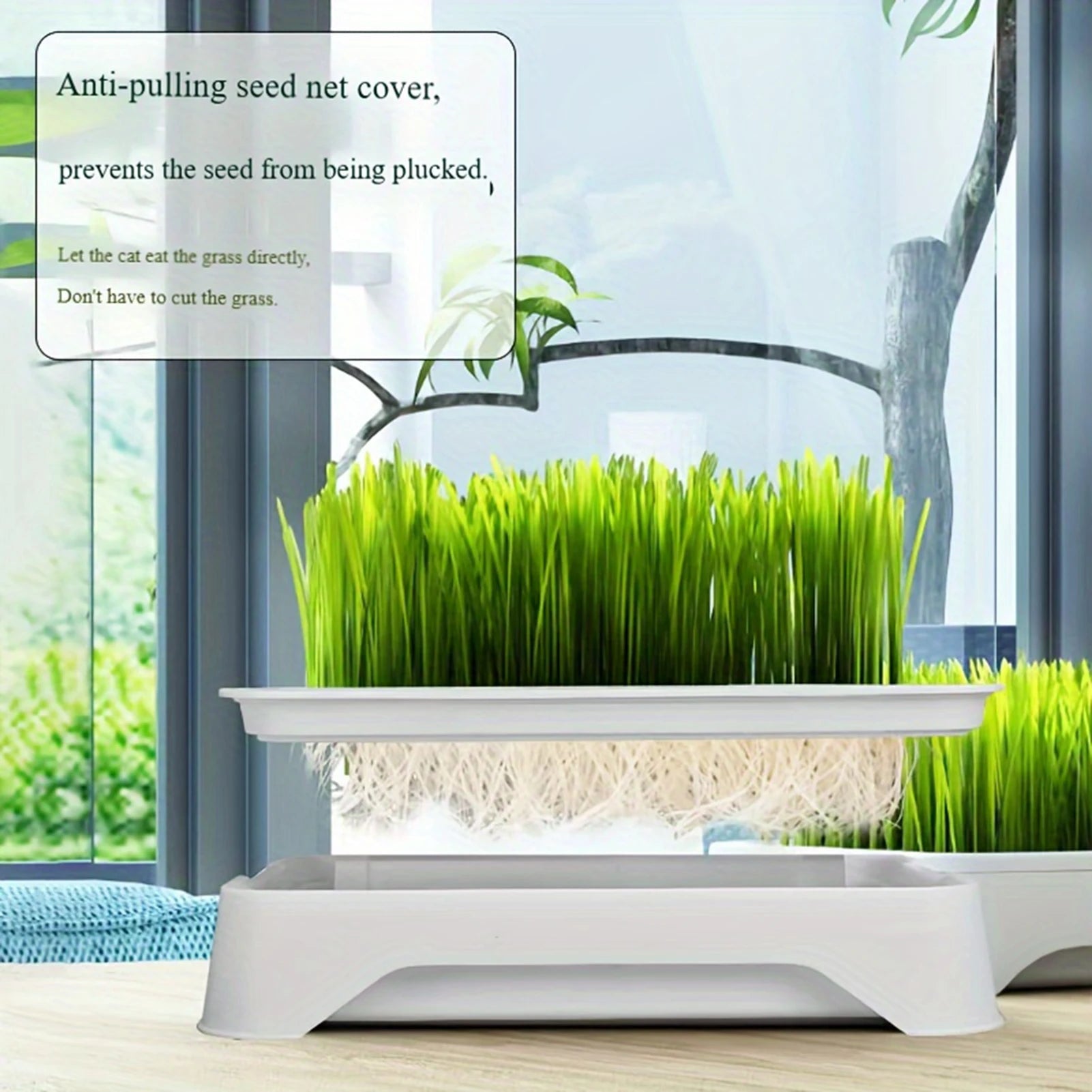 Wheat Seedling Pot Kitten Grass Hydroponic Device Horticultural Planting Pot