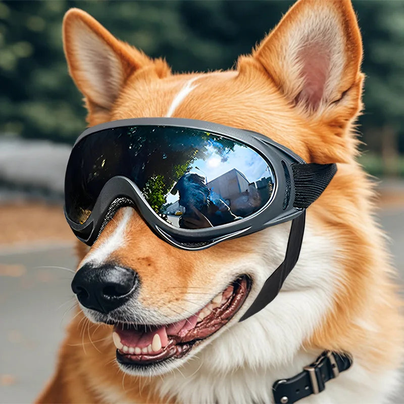 Pet Adjustable Dog Goggles Sunglasses
