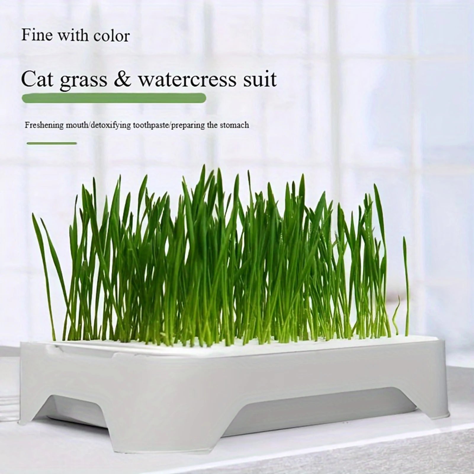 Wheat Seedling Pot Kitten Grass Hydroponic Device Horticultural Planting Pot