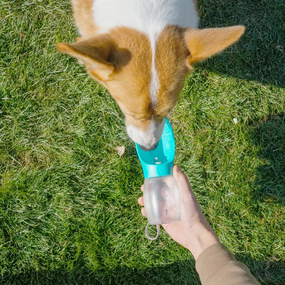 Dogs Cats Hiking Portable Cat Feeder Golden Retriever Supplies.
